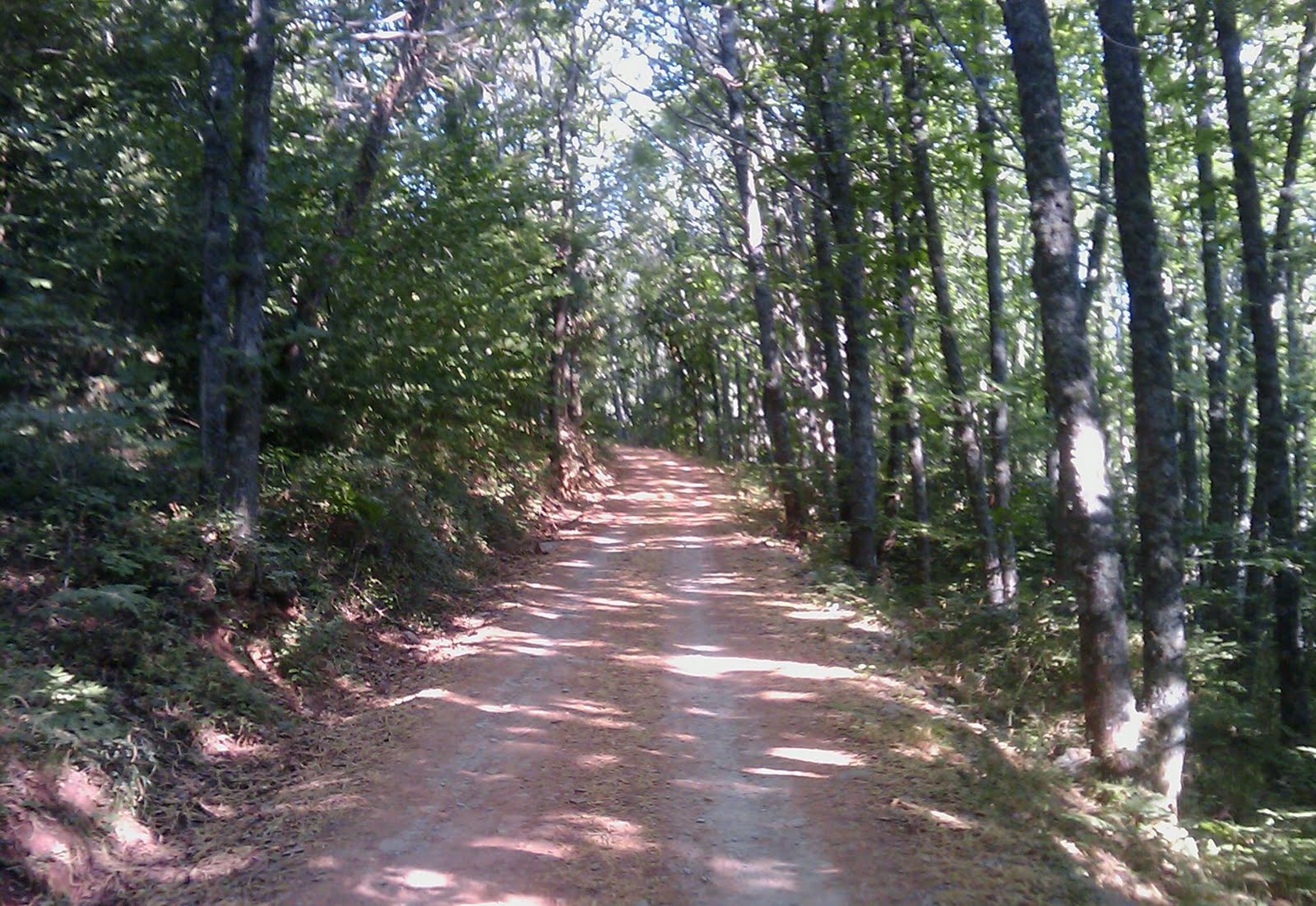 V-Runner: Objetivo Maratón: Rodaje en el bosque de la HONFRIA
