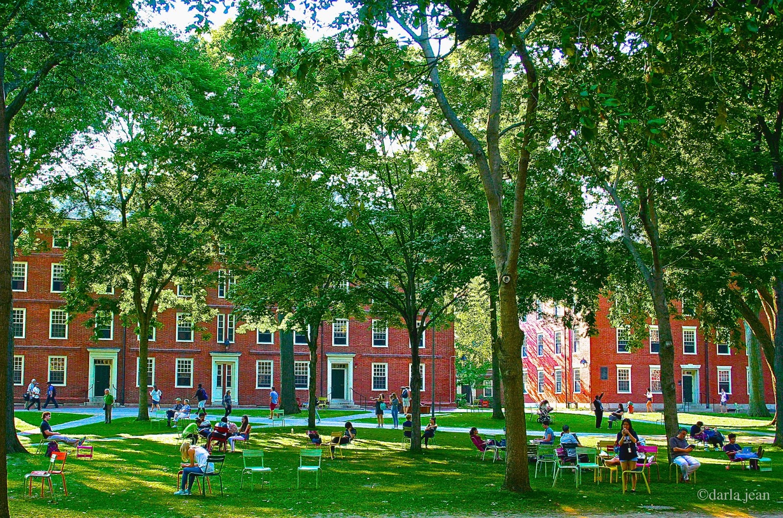 One Photo A Day One Year Harvard Yard Colorful Chairs