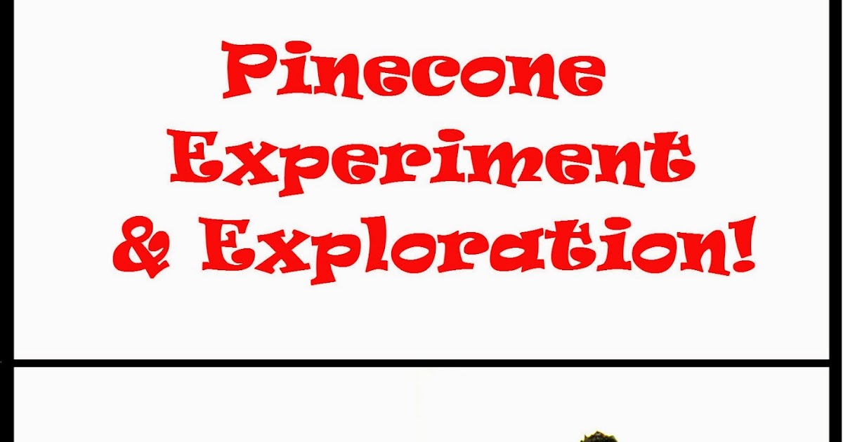 Pine Cone Experiments & Exploration | Preschool Powol Packets