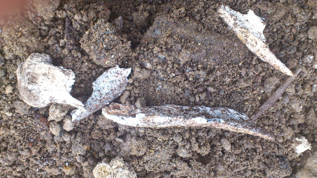 Mas restos de huesos encontrados en la Fuente del Lobo