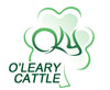 O'Leary Cattle
