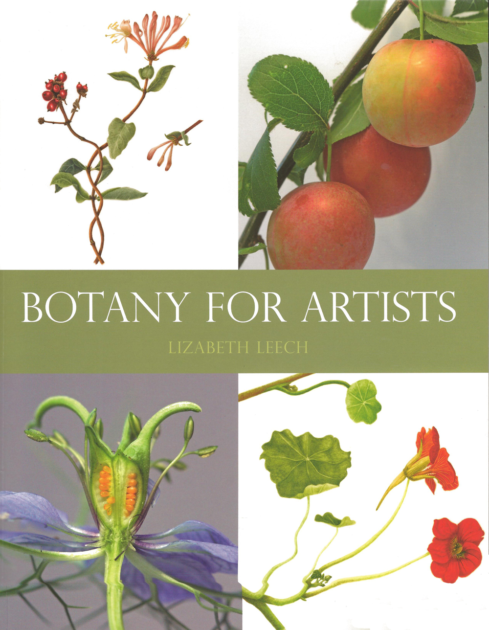 Botanical Art Holiday Sketching A Book a Week 1. 'Botany for