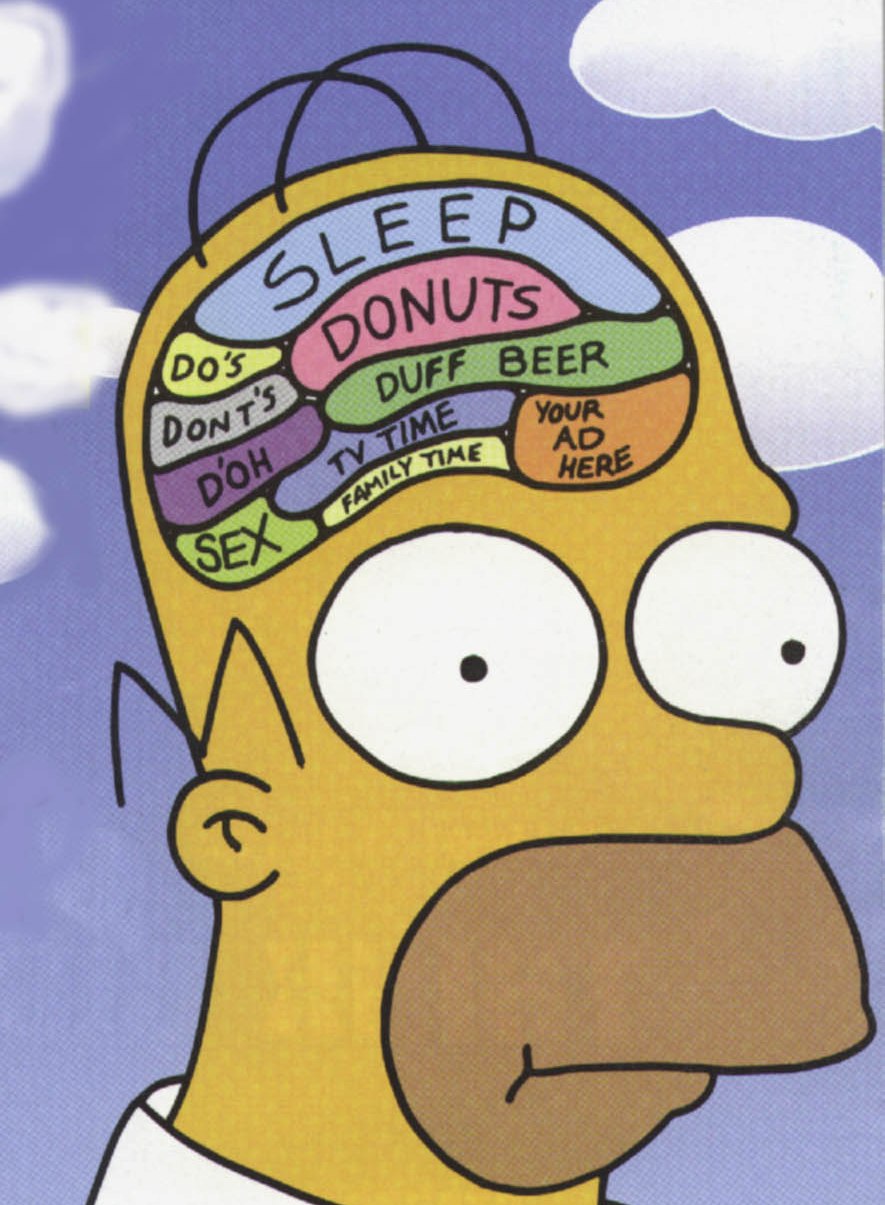 Homer%27s+Brain.jpg