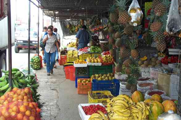 DAVID EN PANAMA david en panama: