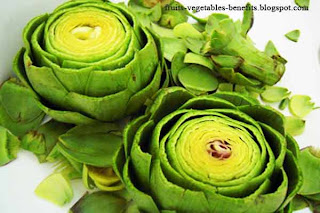 benefits of eating artichokes benefits_of_eating_artichokes_fruits-vegetables-benefits.blogspot.com(12)