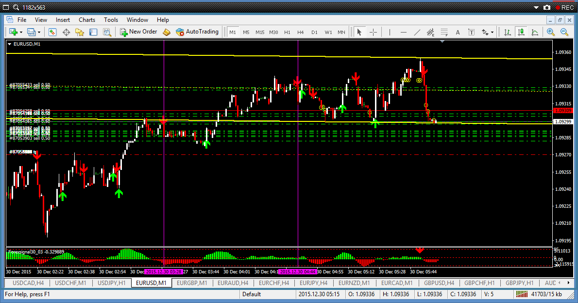 Trading forex tanpa rugi
