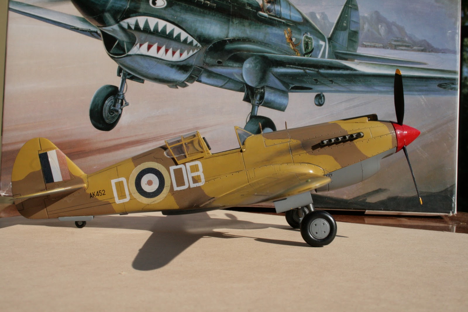 The South African Air Force In Scale Curtiss P40 Tomahawk Mk.IIB