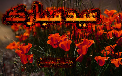 Red Roses Beautiful Eid Mubarak Cards Wallpapers Urdu Text 2012