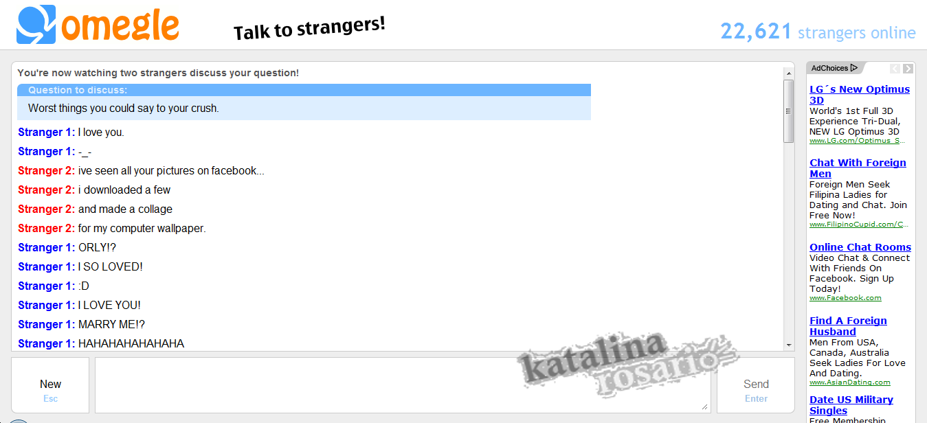Site chat orientalement