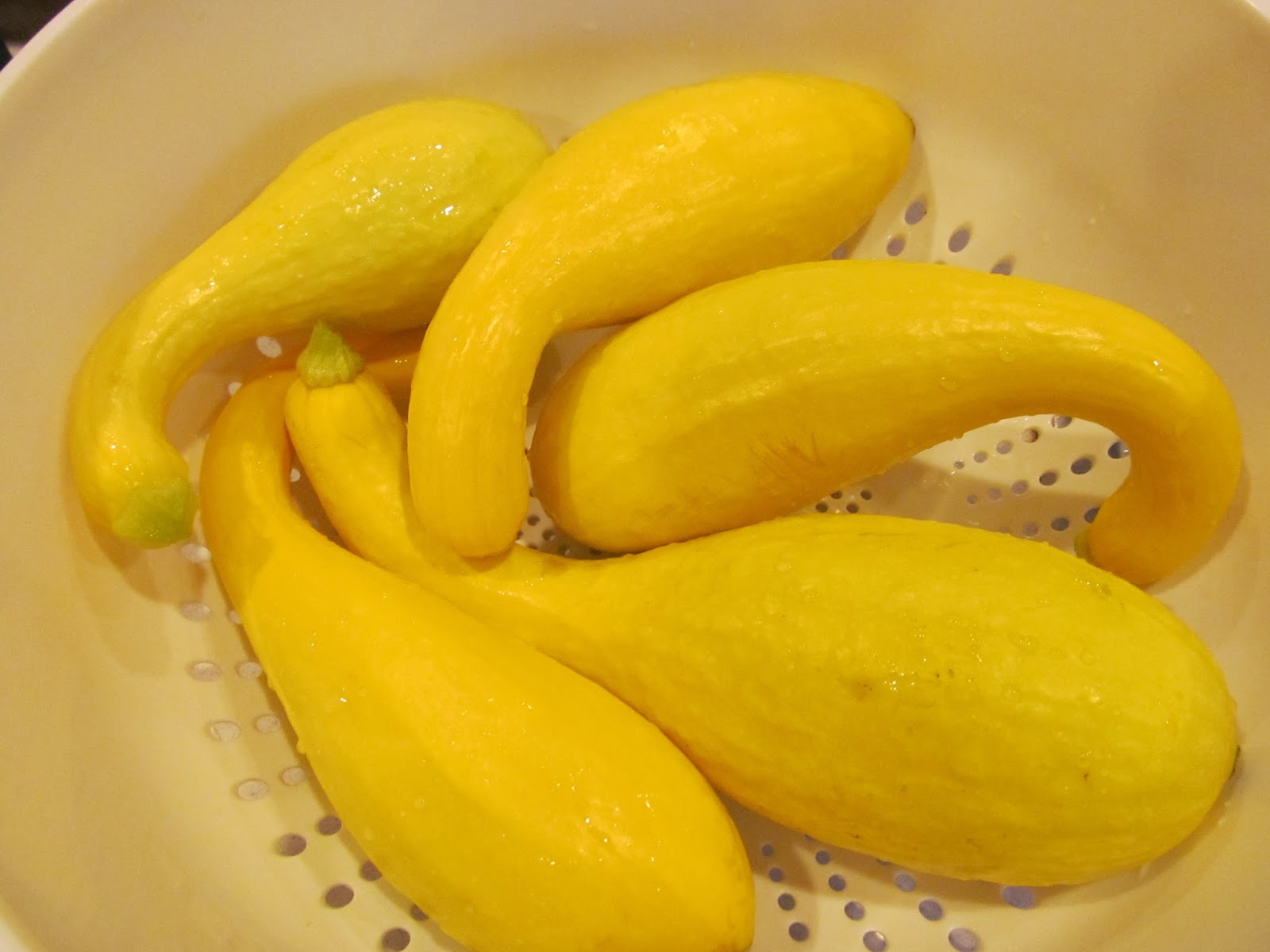Savings for Sisters Recipe Creamed Yellow Crookneck Squash