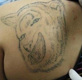Cat or Tiger Tattoo Fail Cat or Tiger Tattoo Fail