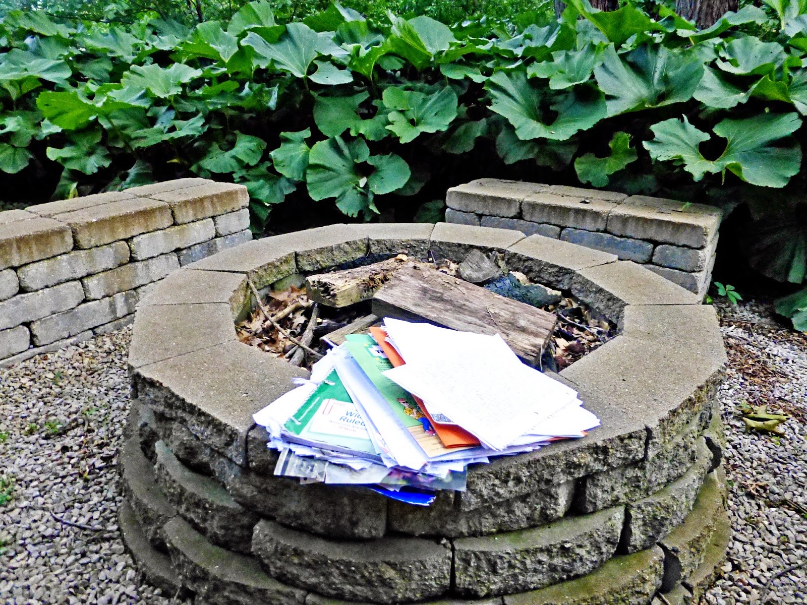 Homework burning party 07 picture