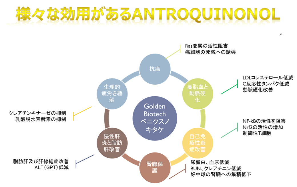 様々な効用があるアントロキノノール ~