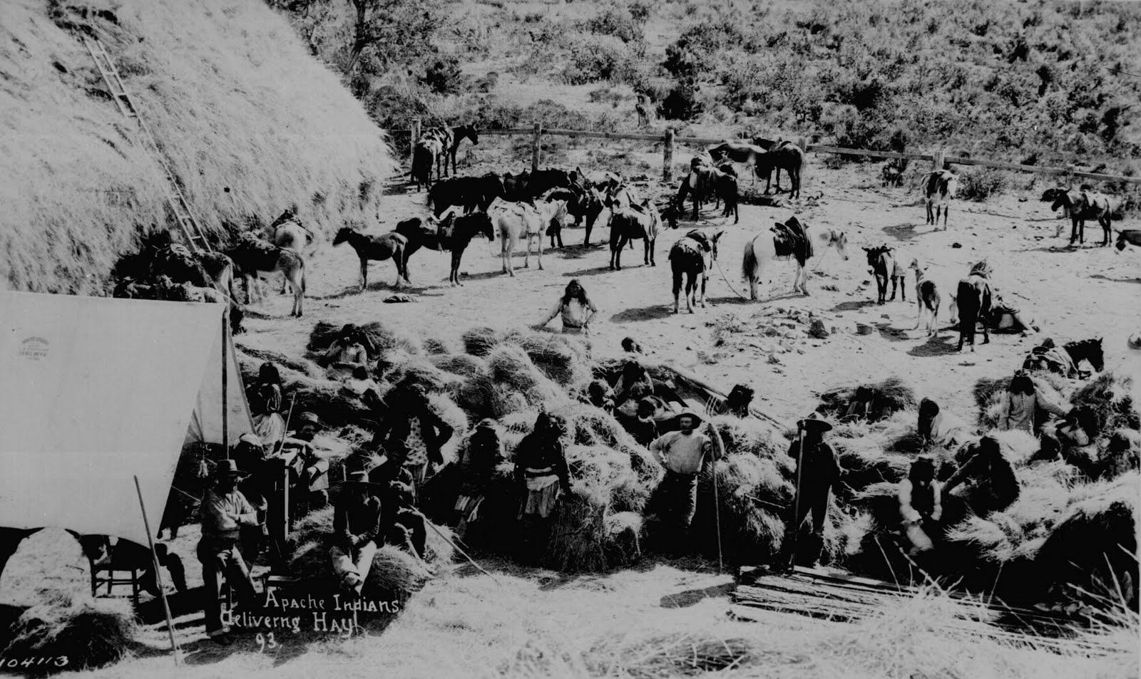 apache indians history