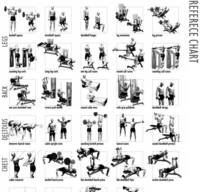 Nuvvu nenu prema Body building Chart