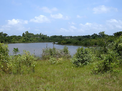 Southwest corner of PROJECT BUCHANAN property