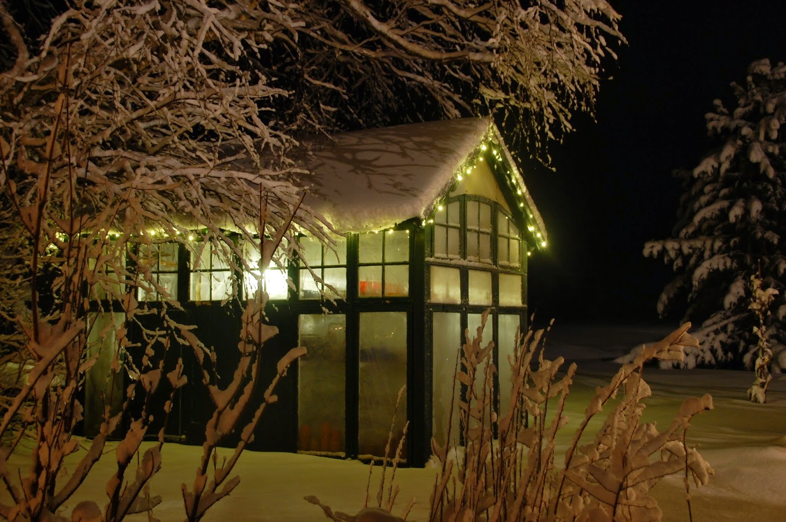 Svanå trädgård: januari 2015