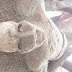 Taş Kesilen İnsanlar: Pompei