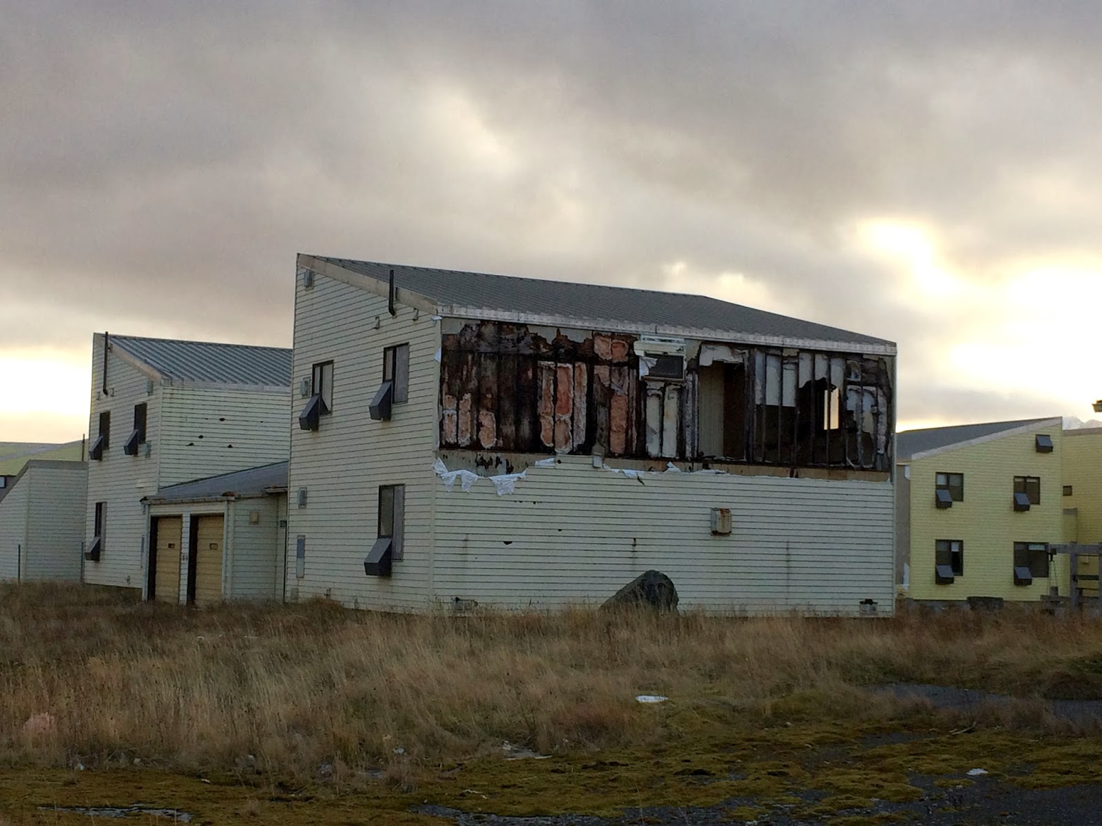 Accidental Big Year 2013 THE ALEUTIANISTS WHOOPING IT UP IN ADAK