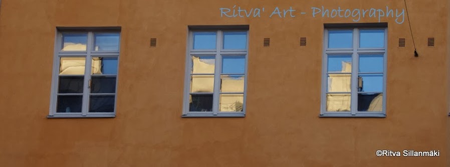 Ritva's Art and Photography