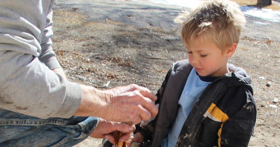 Desert Survivor Desert Survival How to Tell Direction with a Shadow Stick