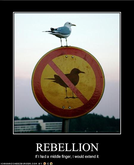 rebellion.jpg