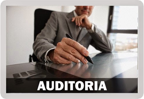 Artigo auditoria interna