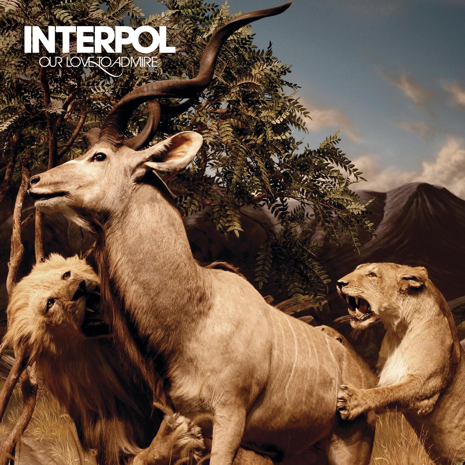 interpol our love