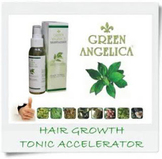 1369989569_514607756_1-Gambar--penumbuh-rambut-botak-green-angelica-accelerator.jpg