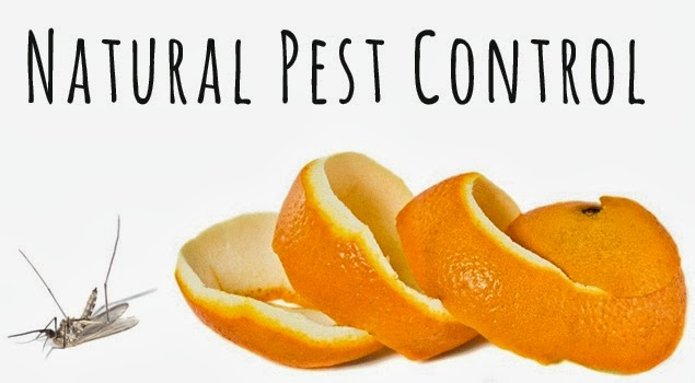 NATURAL PEST CONTROL METHODS FOR MOSQUITOES NATURAL PEST CONTROL METHODS FOR MOSQUITOES