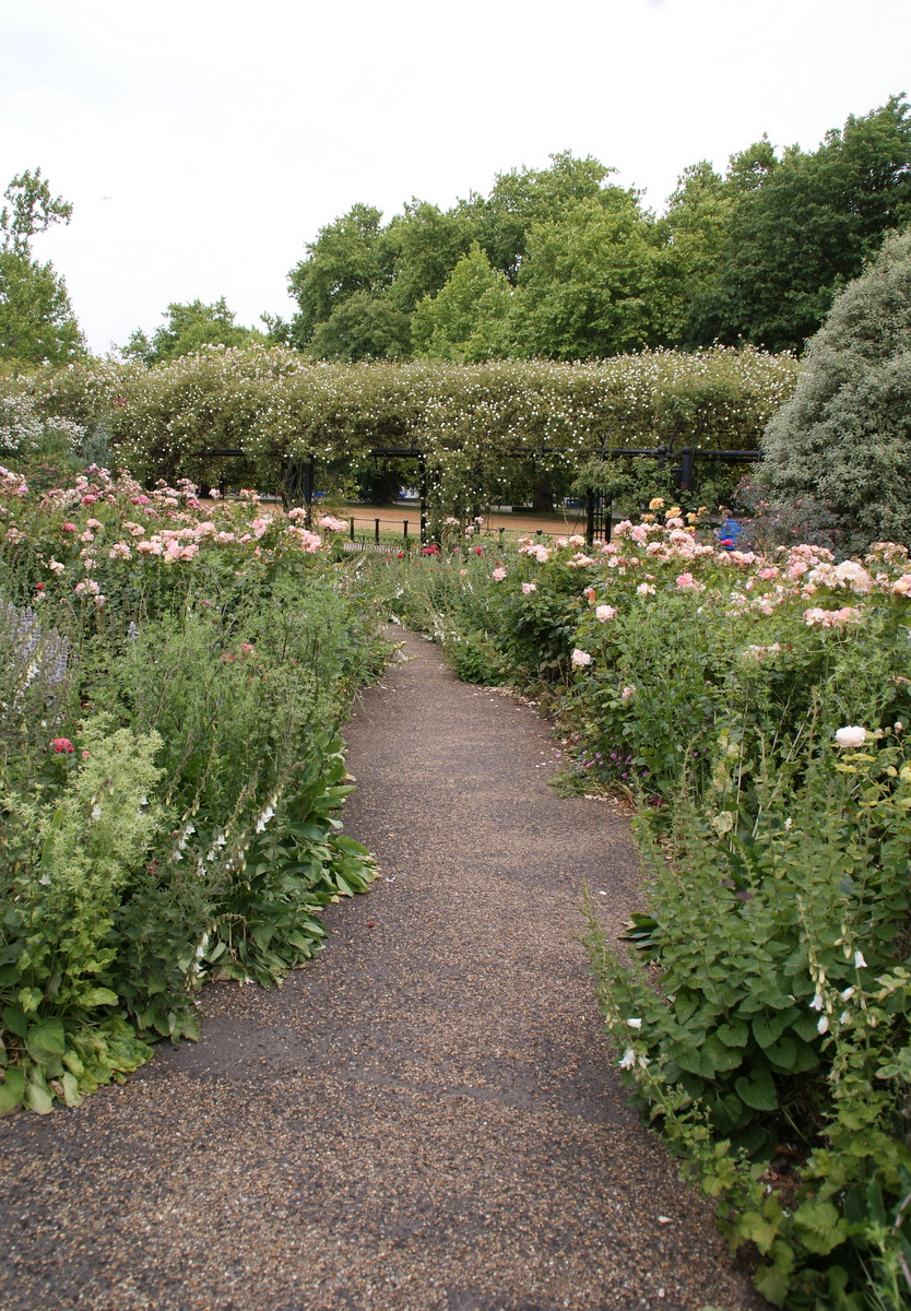 Organic Garden Dreams The Rose Garden in Hyde Park, Part I