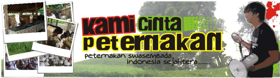Usaha Kecil Dan Menengah |Kepulawan Riau| Mitra Jaya Jln. Berindat Rt 01 Rw 01