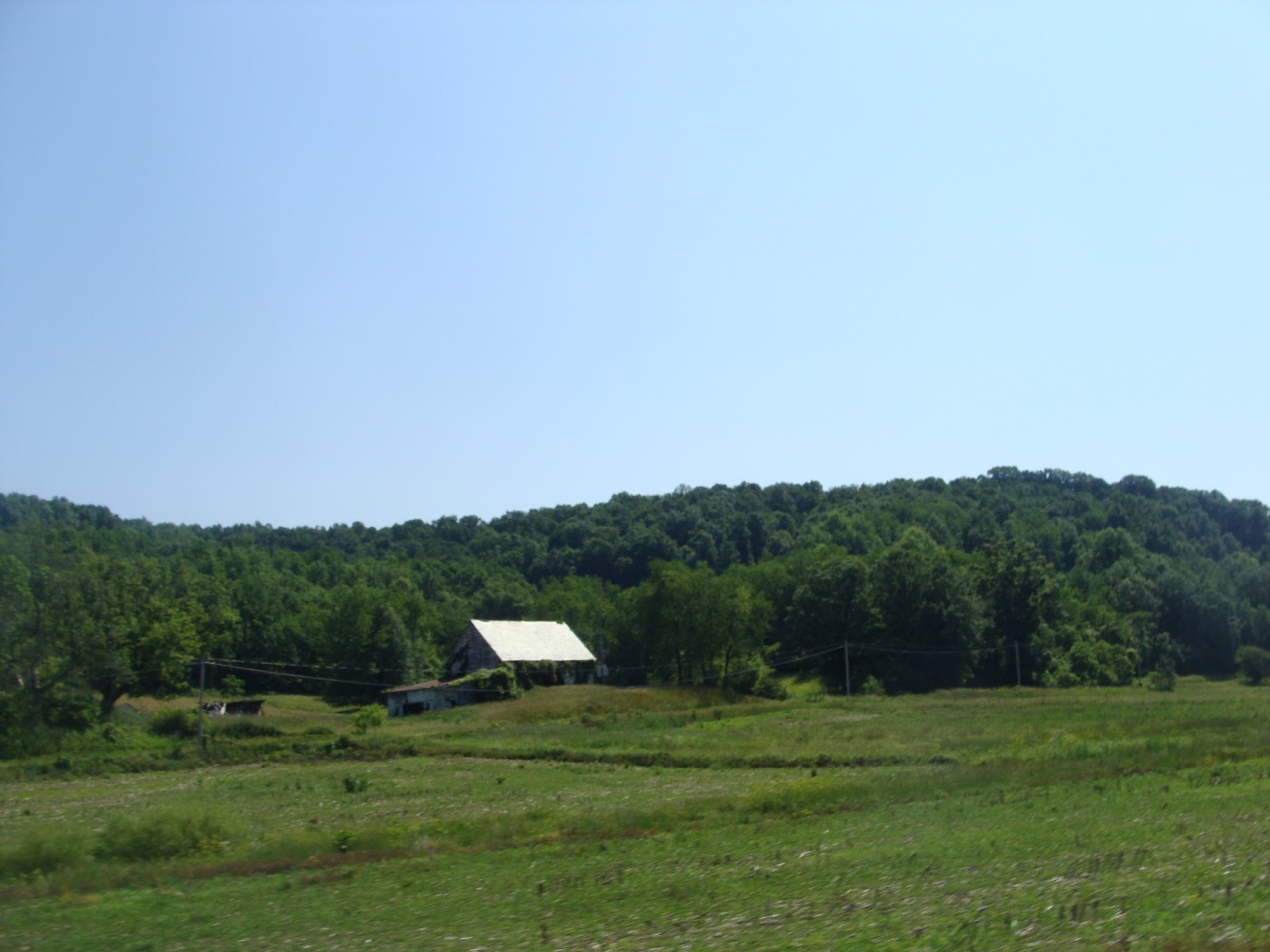 View From Harmony Hills Tappan Lake