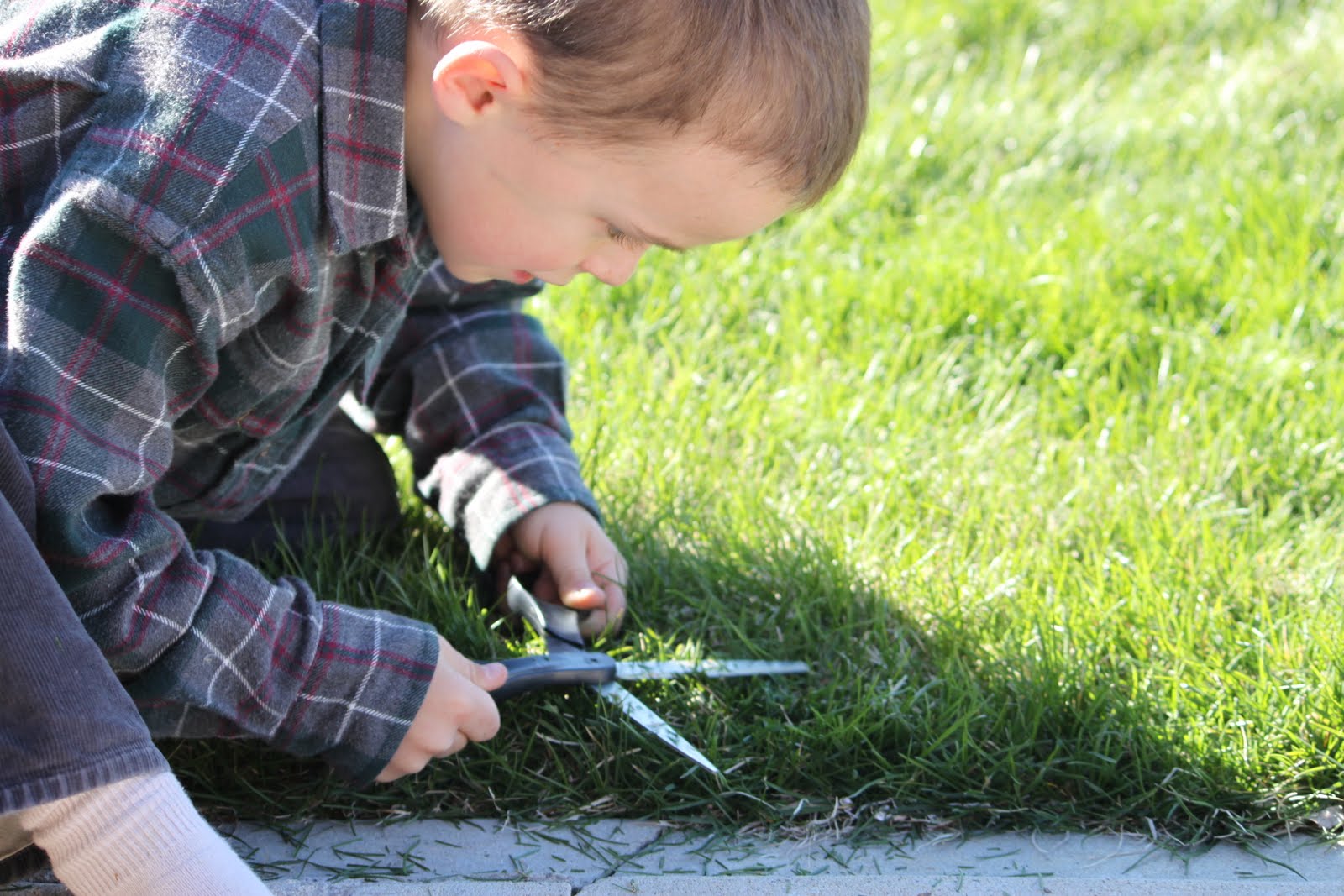 life is beautiful Cutting the Lawnw/ Scissors