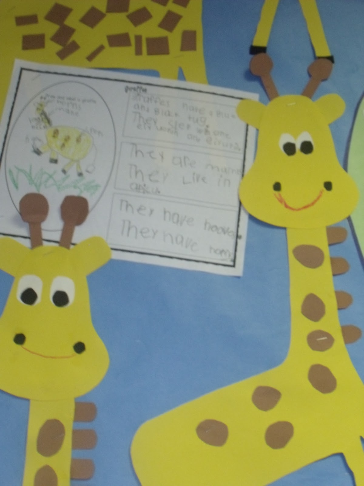 Featured image of post Giraffe Zoo Drawing For Kids - Giraffe illustration, northern giraffe okapi animal safari, giraffe, mammal, cat like mammal png.