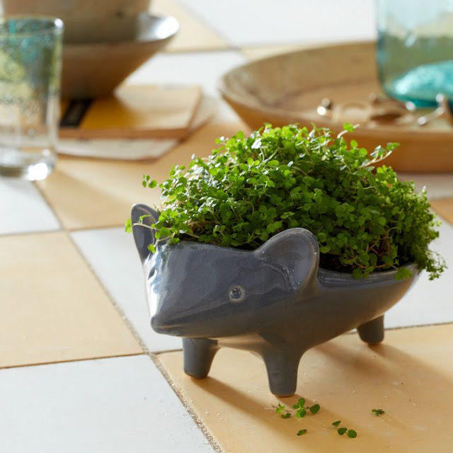 West Elm Ceramic Hedgehog pot, animal, fun