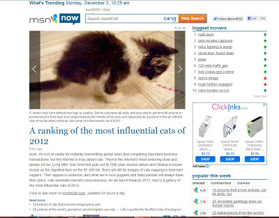 Anakin is #6 and named The Bravest Cat of 2012 in MSN Now's ranking of the most influential cats of 2012