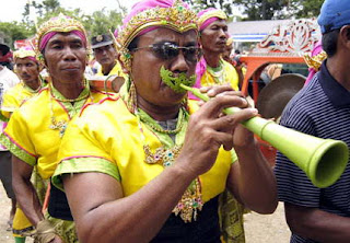Karapan sapi cow racing