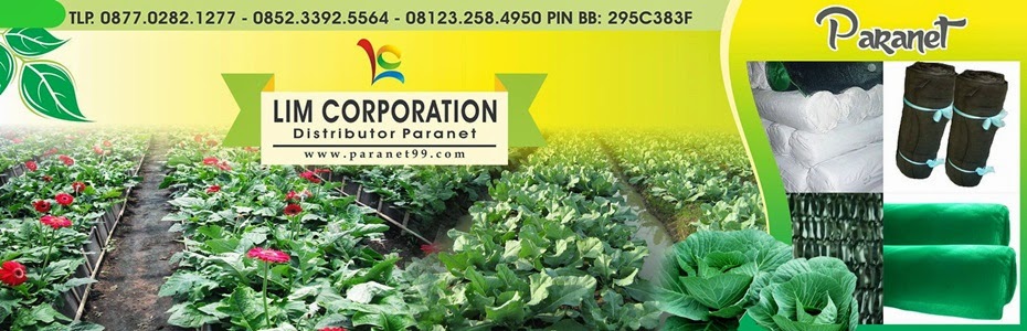 Jual Paranet Murah