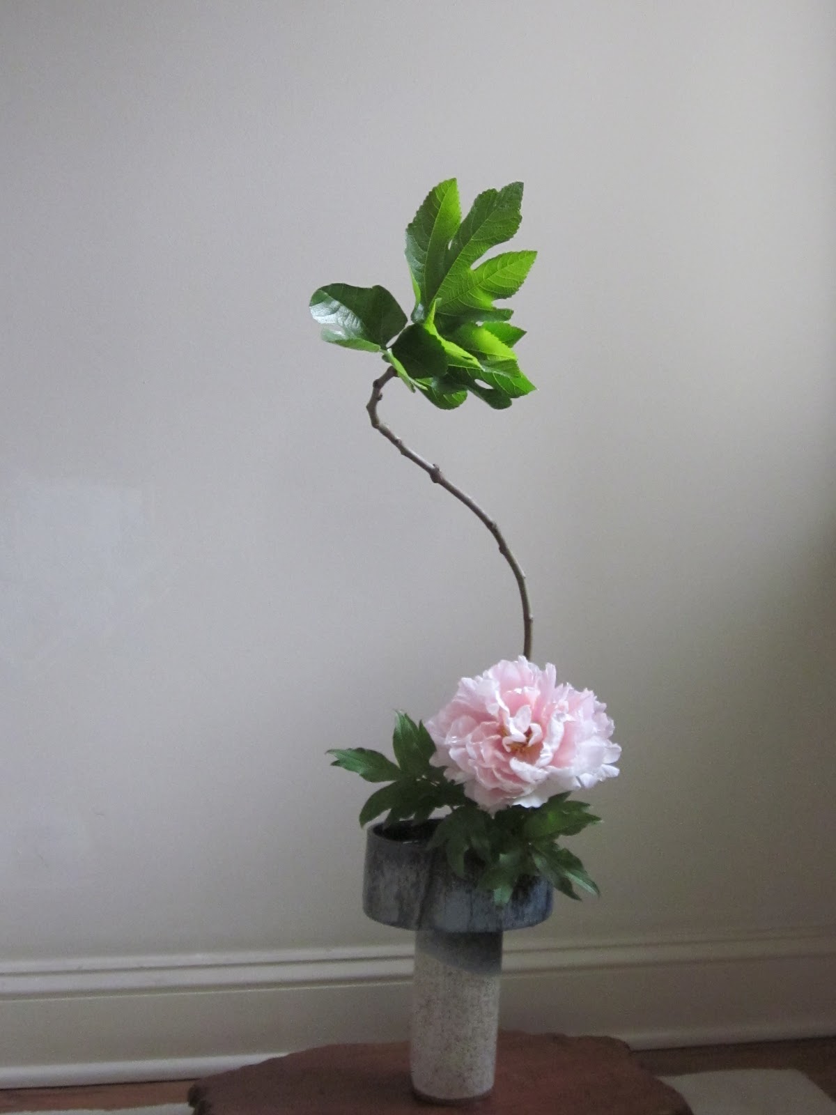 Orchids and Ikebana Peony in Ikebana