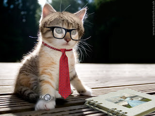 - Gambar Gambar Lucu Lengkap Terbaru - Kumpulan Gambar Gambar Lucu