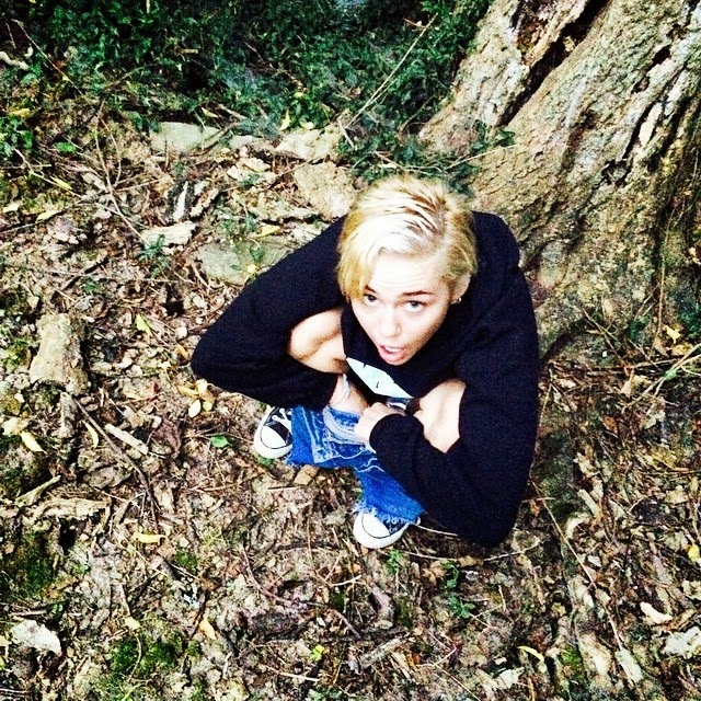 Miley Cyrus orina bajo un árbol Miley Cyrus orina bajo un árbol