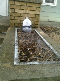 flooded winter sowing jug