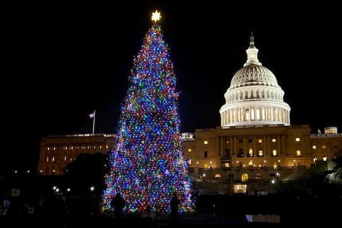 national christmas tree washington dc national christmas tree washington dc