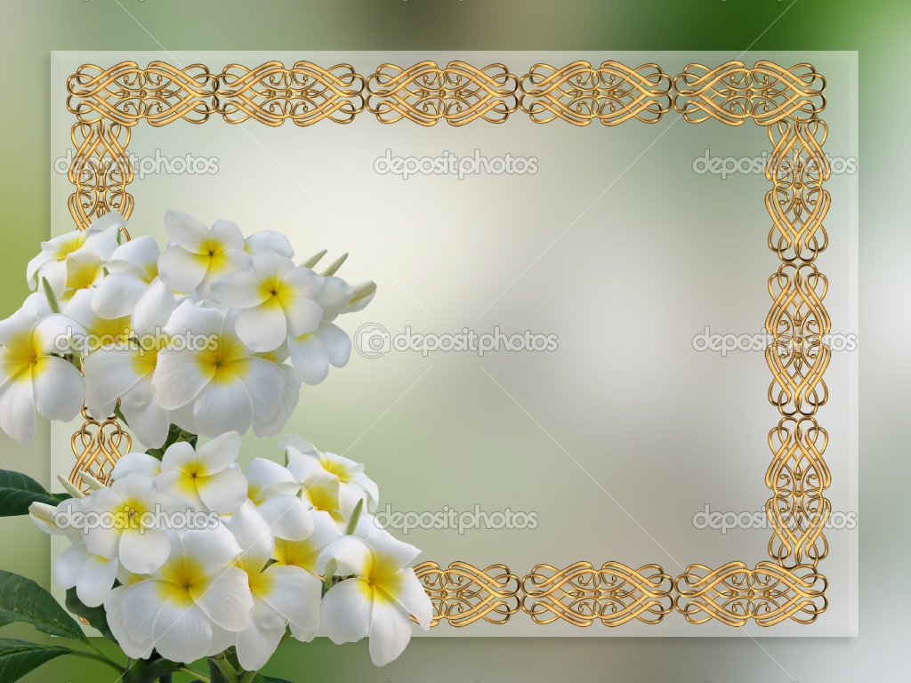wedding invitation background designs fashion in new look invitation background