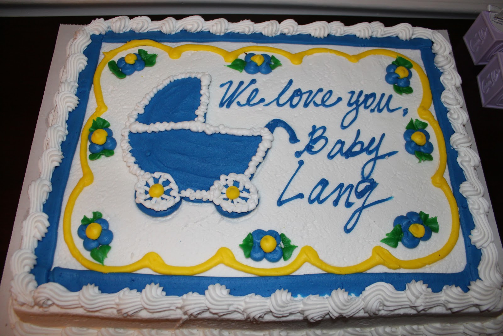 The Lang Family Maryland Baby Shower 2/5/11