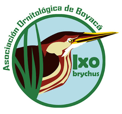 Asociación Ornitológica de Boyacá-Ixobrychus