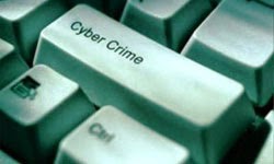 Cyberfraud: Technology Fights Back cyber fraud