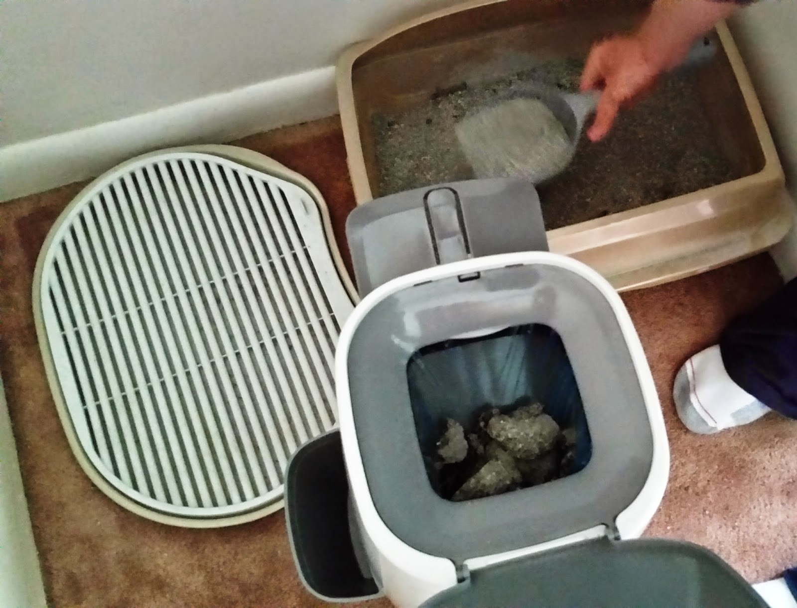 The Soap Lady Review of the Litter Genie disposal system.