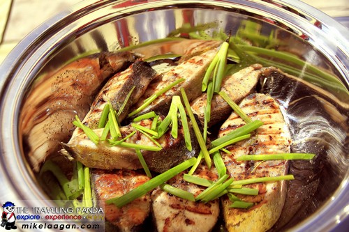 Grilled Mahi-mahi